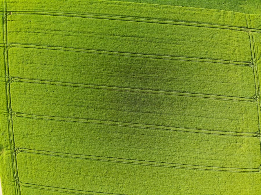 Photo Green Auto Innovation