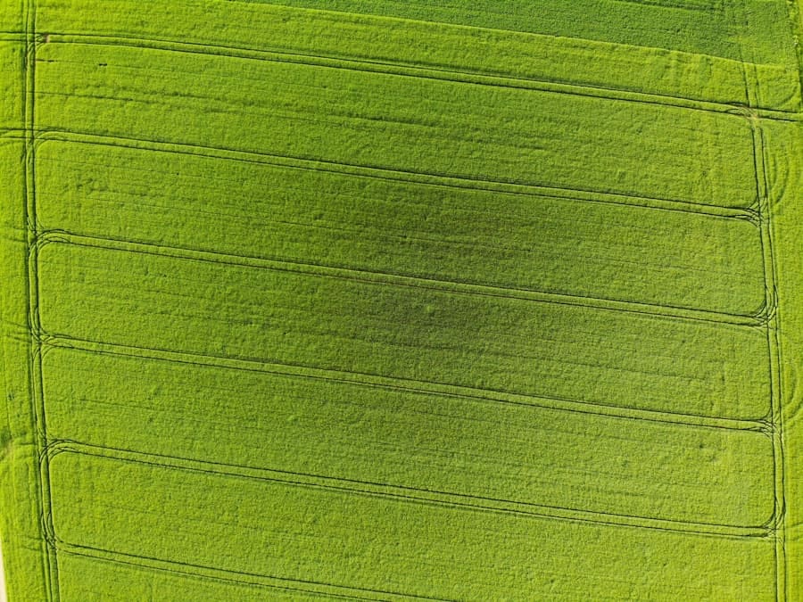 Photo Green Auto Innovation